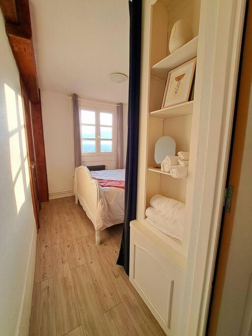 Charmant Duplex A Thiers, Vue Sur La Chaine Des Puys Extérieur photo